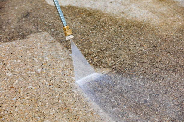 Best Driveway Pressure Washing  in Garden Grove, FL